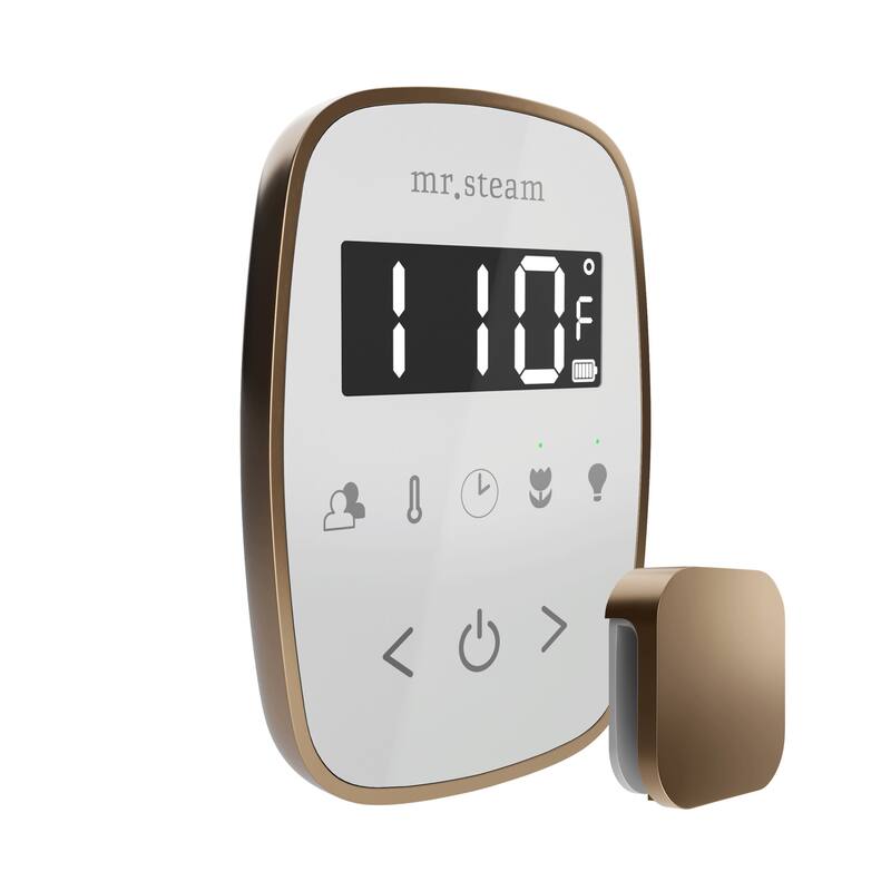Mr Steam TF Tempoflex Steam Shower Control and Steamhead