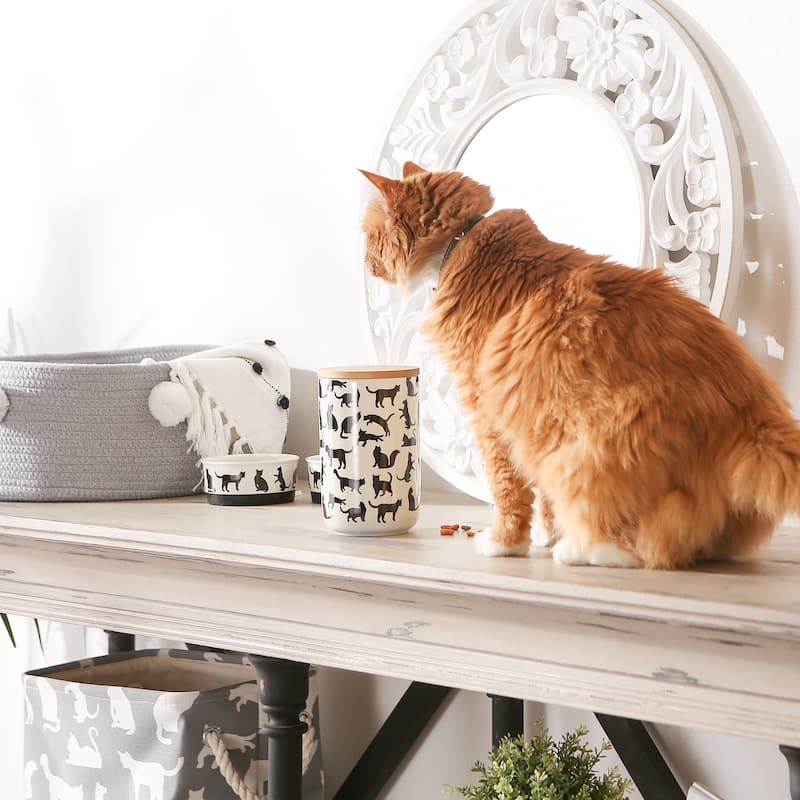 Bone Dry Cats Meow Ceramic Treat Canister