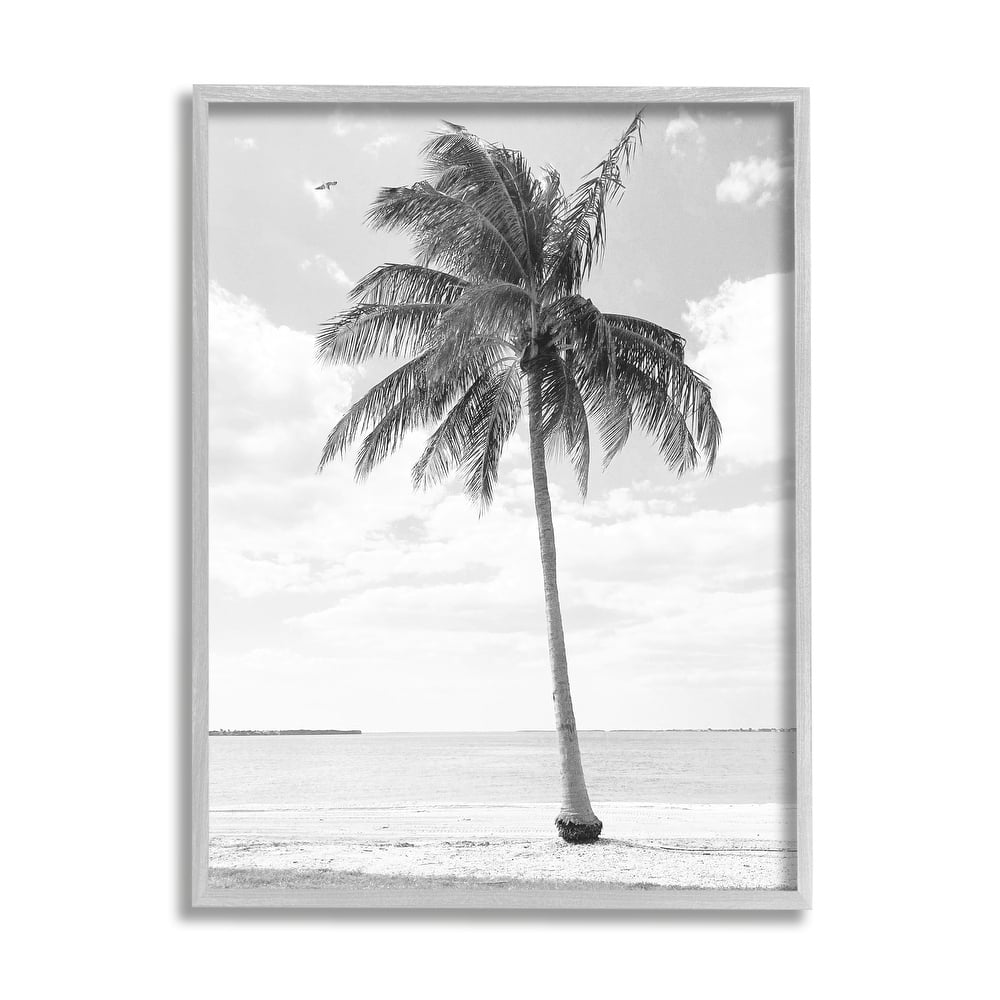 Stupell Single Palm Tree Monochrome Tropical Beach Plant Framed Wall Art, Design by Graffitee Studios - Grey