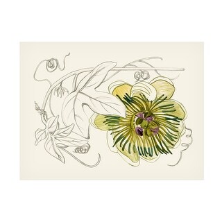 Melissa Wang  'Passionflower II' Canvas Art
