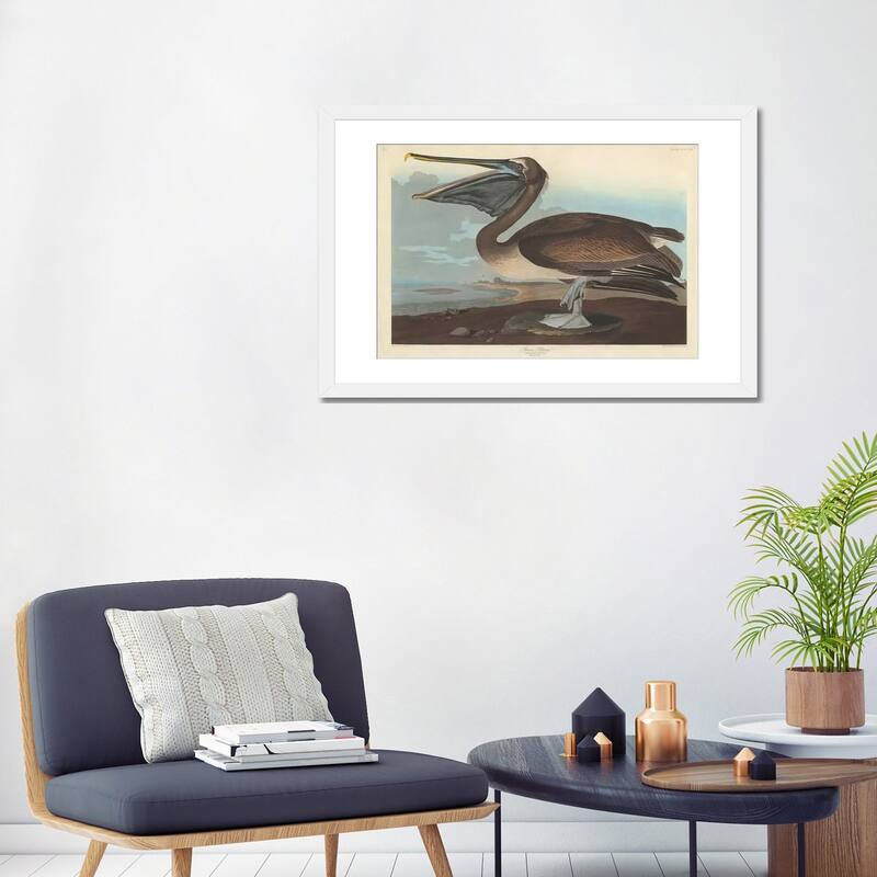 iCanvas "Brown Pelican" by John James Audubon