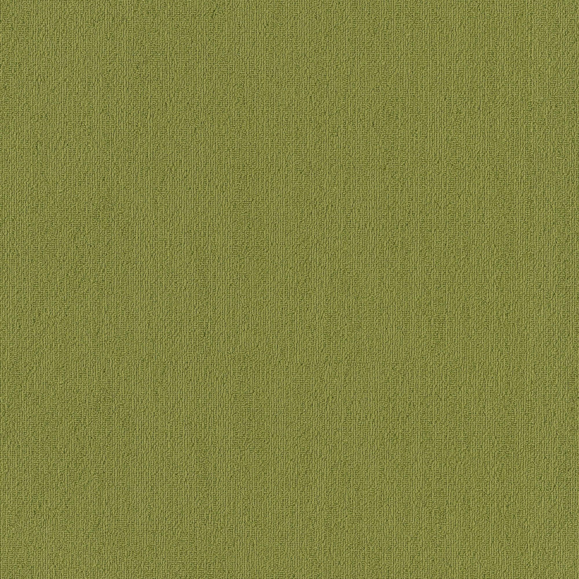 Shaw Philadelphia Commercial Color Accents TL 24" x 24" Glue Down