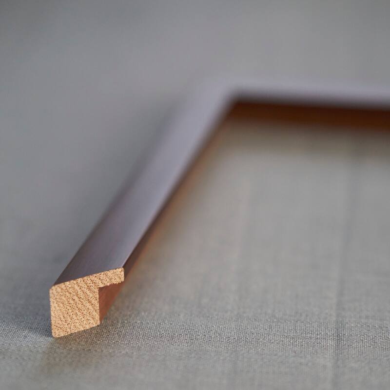 14x20 Mahogany Wood Picture Frame - UV Acrylic, Foam Board Backing, Hanging Hardware