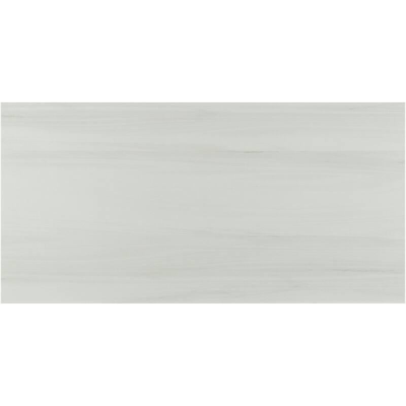 Ackland AKNPTARD12X24M-PL Ardena - 12" x 24" Porcelain Solid Floor and - Pallora