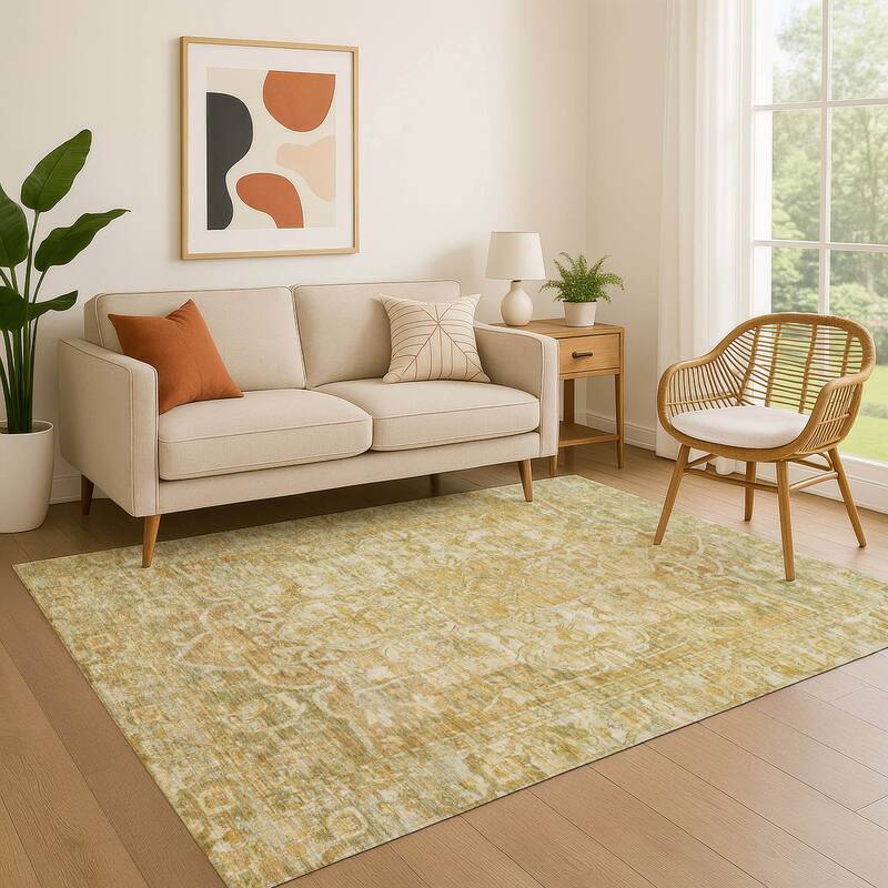 Premium Washable Super Soft Vintage Traditional Mayfield Rug - Tan - 2'6" x 3'10"