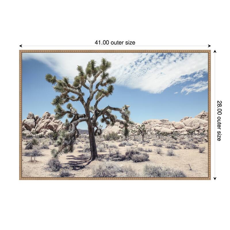 Yucca by Shot by Clint Framed Canvas Wall Art Print - 41 x 28 in