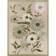 Option Ivory/Green
