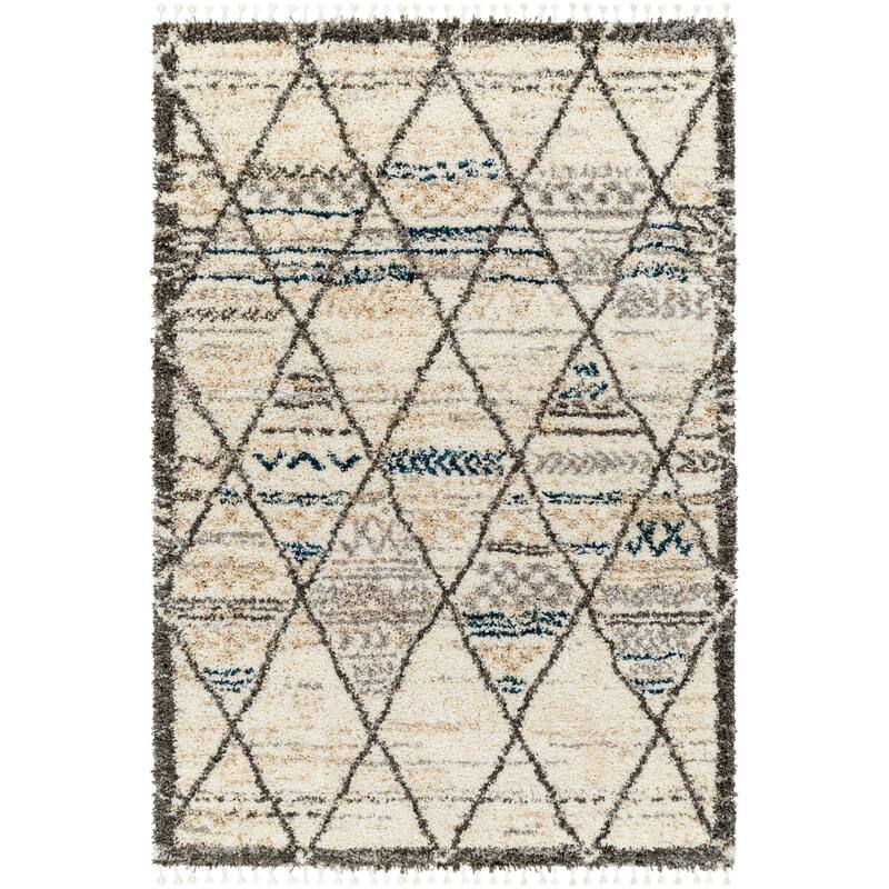 Shelby Bohemian & Eclectic Area Rug