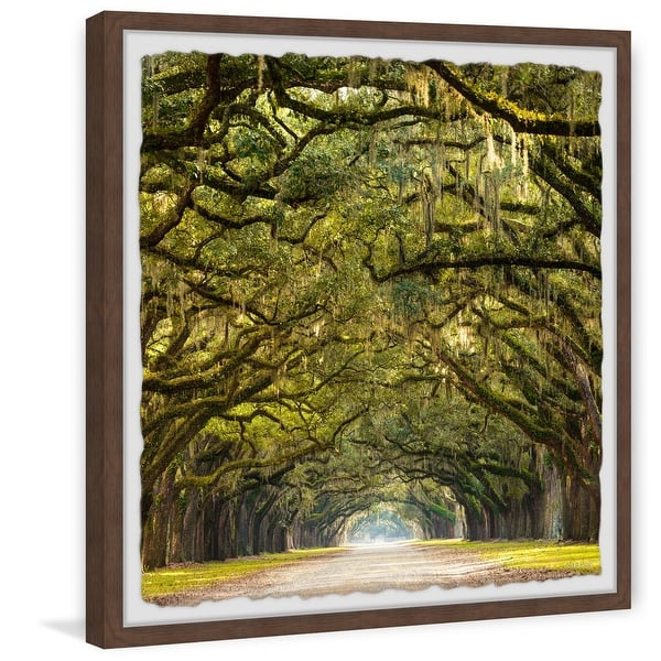 https://ak1.ostkcdn.com/images/products/is/images/direct/81575035c52247475f75f1b9b65637c6a622c326/%27Canopy-of-Live-Oak-Trees%27-Framed-Painting-Print.jpg?impolicy=medium
