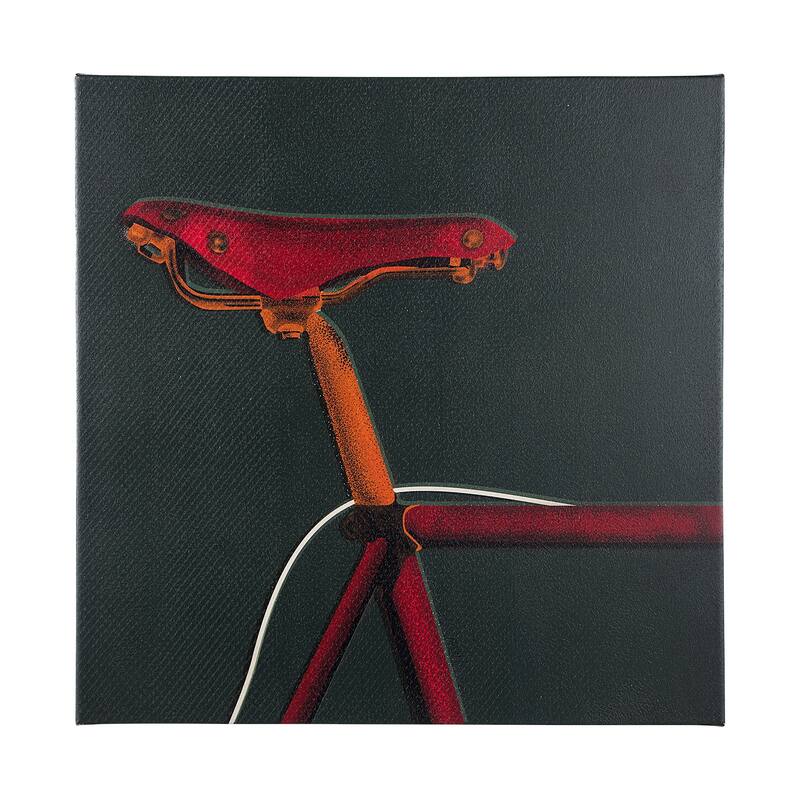 Bike Saddle I (44 x 44) Canvas Art Print - Large