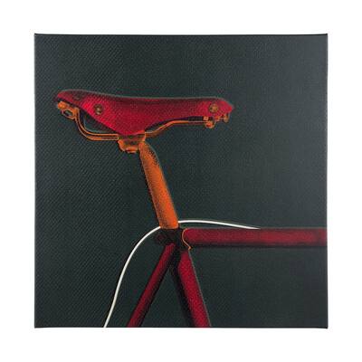 Bike Saddle I (44 x 44) Canvas Art Print