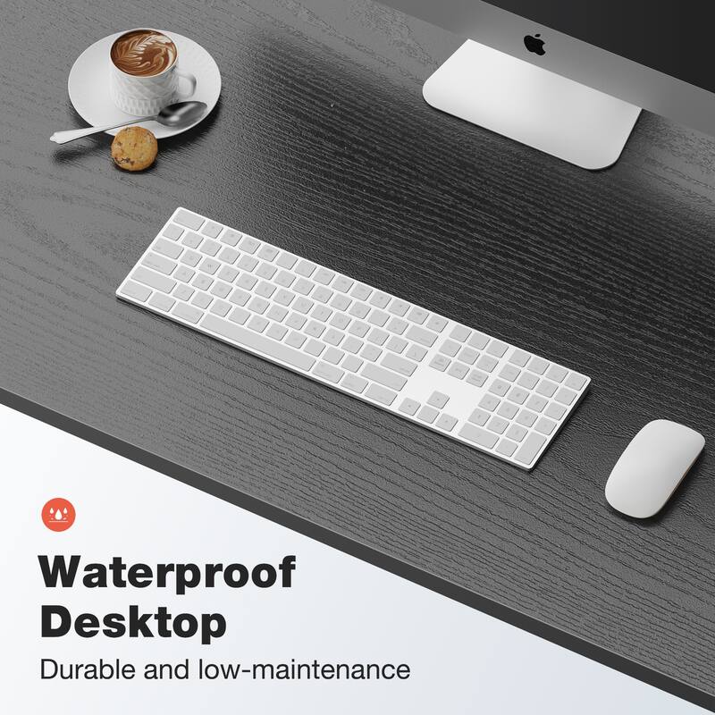 Modern Computer Desk with Storage