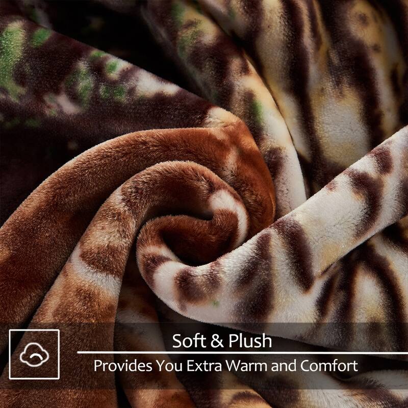 Raschel A&B Printed 2-ply Reversible Korean-style Plush Fleece Blanket