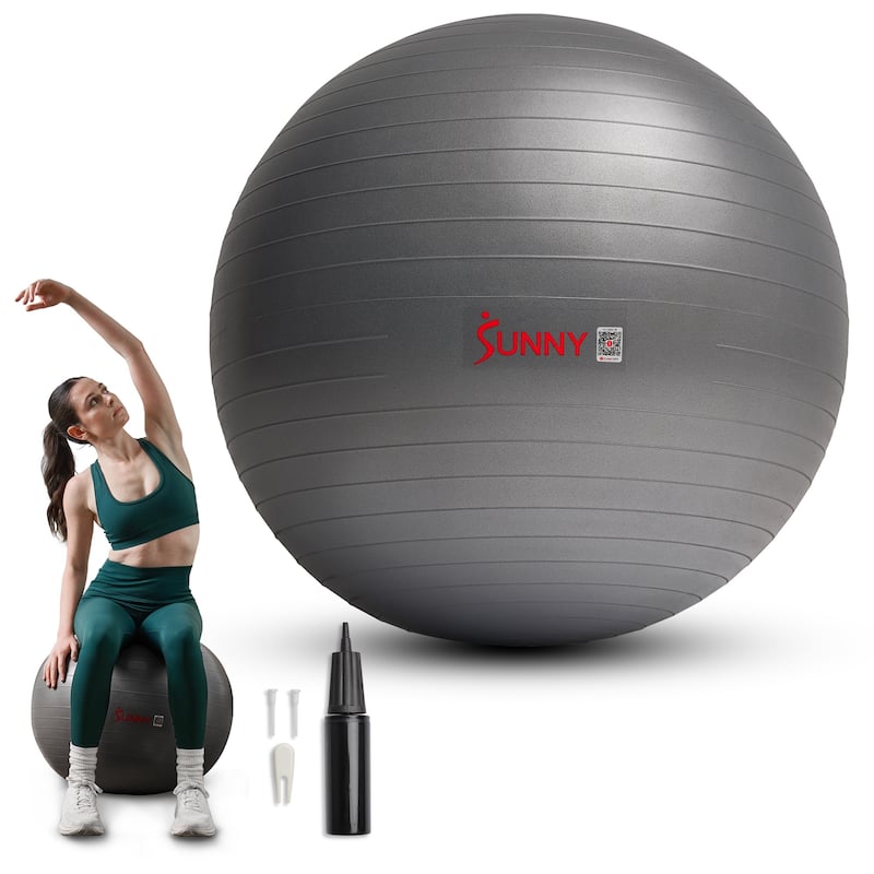 Sunny Health & Fitness Premium Yoga Ball Medium 65CM SF-EB02
