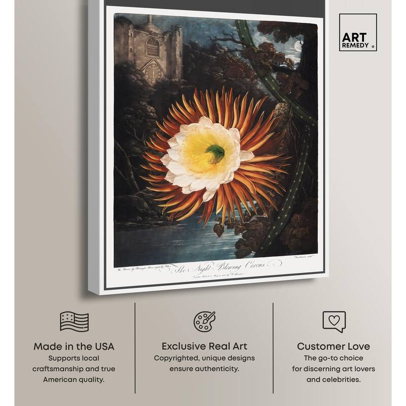 Night-Blowing Cereus 1807 Canvas by Art Remedy