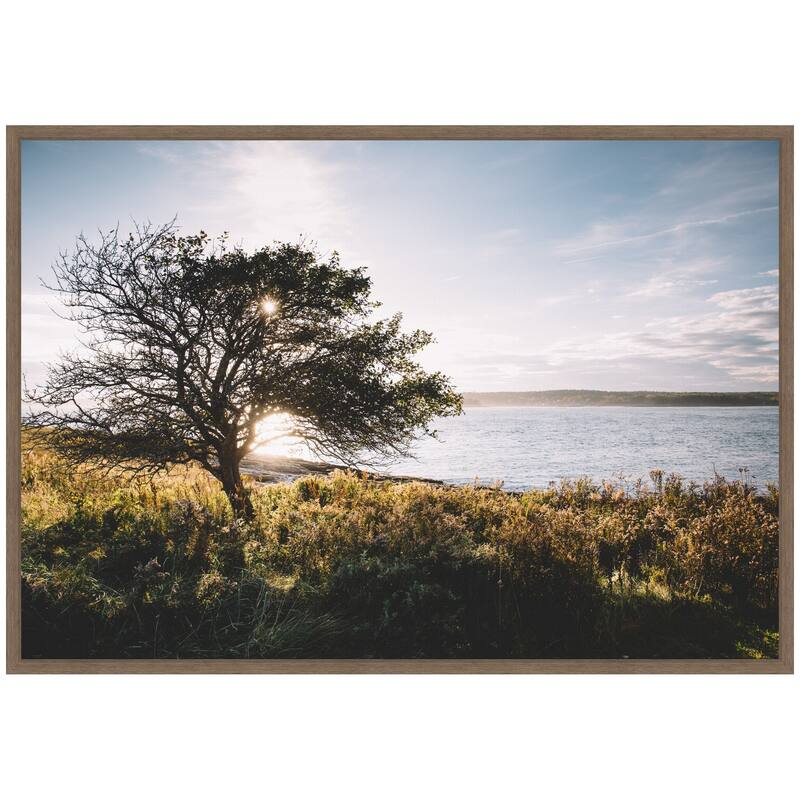 Kate and Laurel Sylvie Coastal Serene Sunset Tree Landscape Framed Canvas by Patricia Hasz of Patricia Rae Photography
