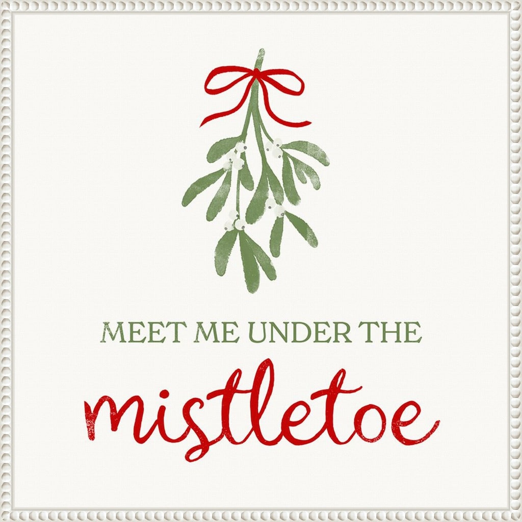 Mistletoe Wishes I by Victoria Barnes (22 x 22 in.), Framed Canvas Wall Art Print - Sylvie Beaded White