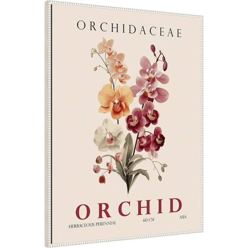 Vintage Botanical Orchid Illustration by Christopher Giampietro Framed Canvas Wall Art Print