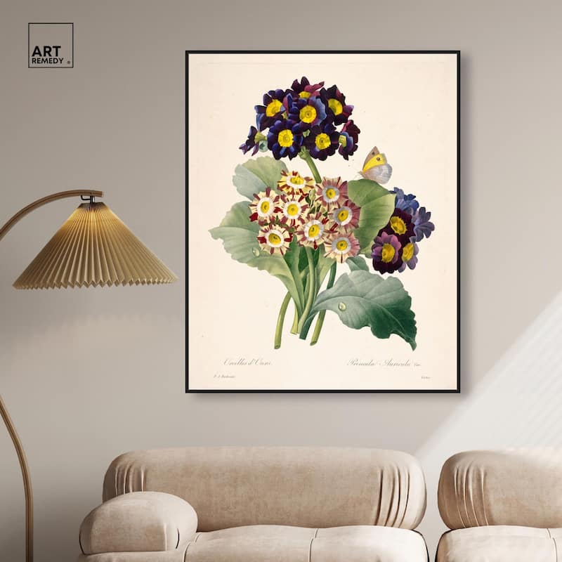 Auricula Varieties Canvas by Art Remedy
