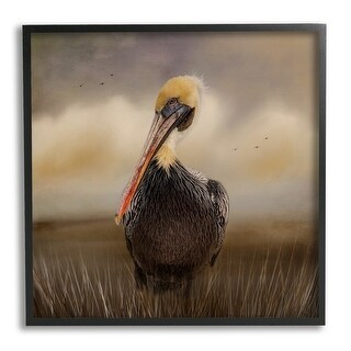 Stupell Pelican Cloudy Nature Sky Wildlife Framed Giclee Art by Kelley ...