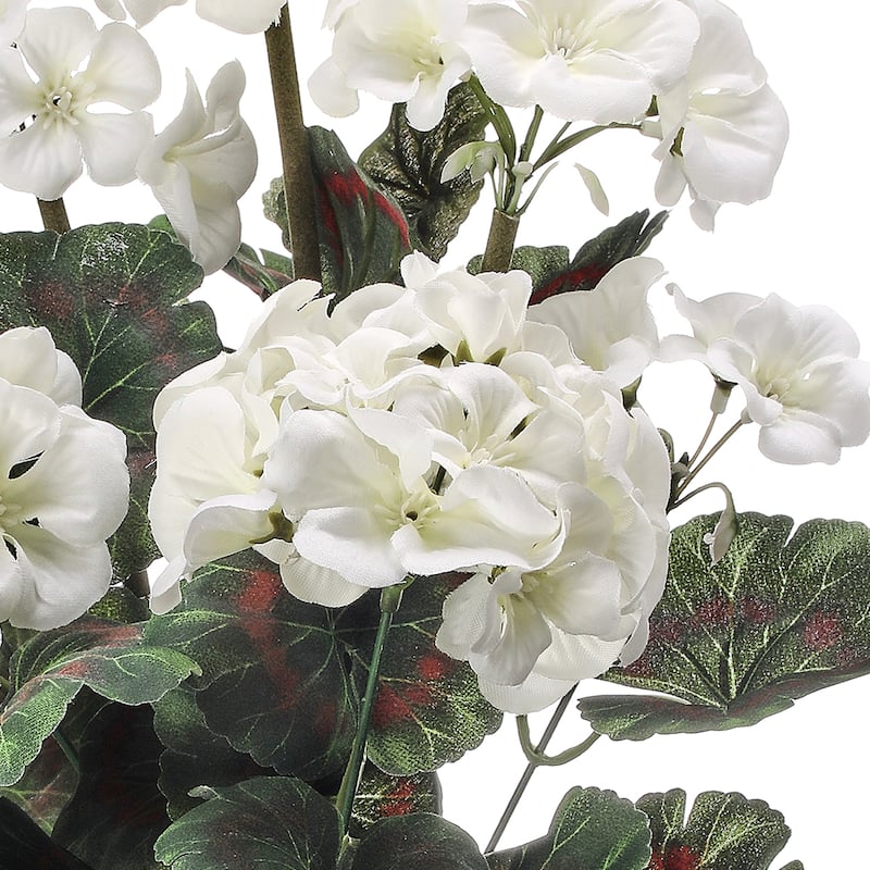 Potted Geranium In Wood Box 16.5"