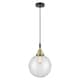 Option Clear Shade / Black Antique Brass