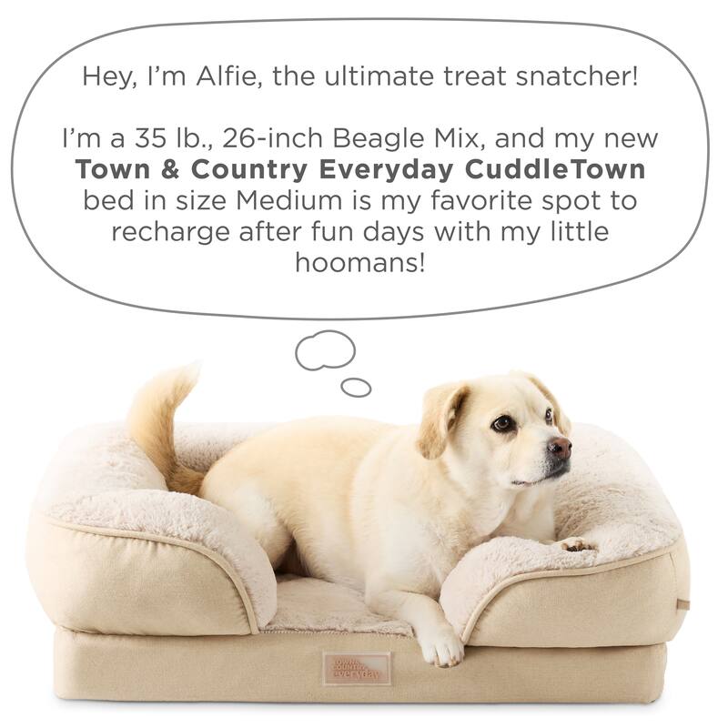 TOWN & COUNTRY EVERYDAY CuddleTown Comfy Solid Bolster Sofa Supportive Pet Bed