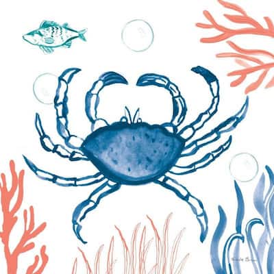 Coastal Jewels V Art Poster - Print On Demand