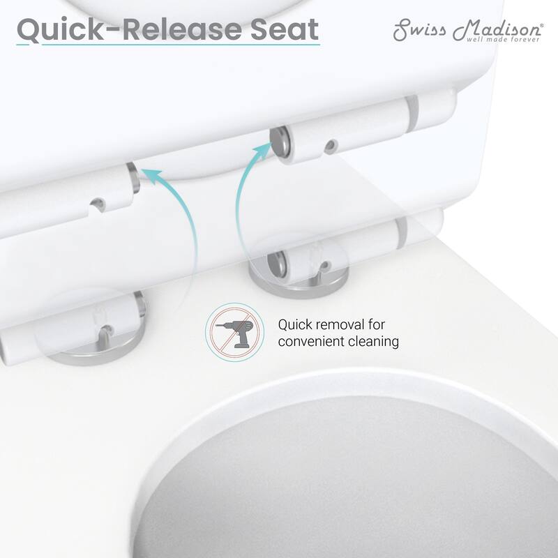 Concorde One Piece Square Toilet Dual Flush, Black Hardware 1.1/1.6 gpf