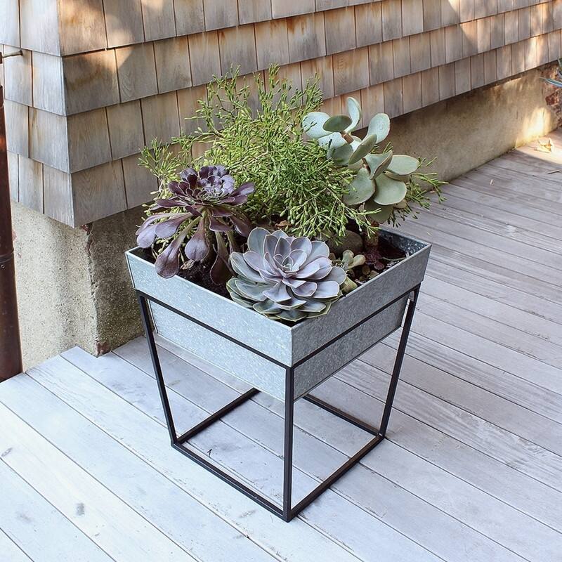 Achla Designs Small Indoor Outdoor Arne Plant Stand With Deep Galvanized Tray, 14 Inch Tall, Black Powder Coat Finish
