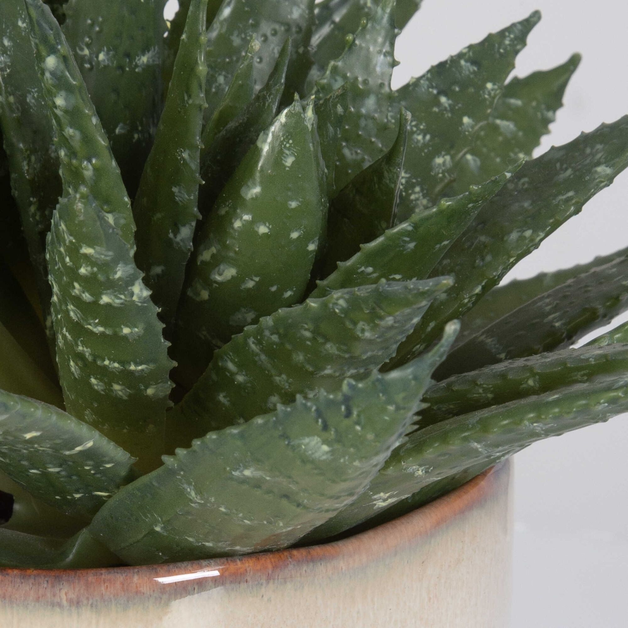 Cluster of Zebra Aloe Tabletop Artificial Succulent - 11" - Green and Beige  - Bed Bath & Beyond - 40821568