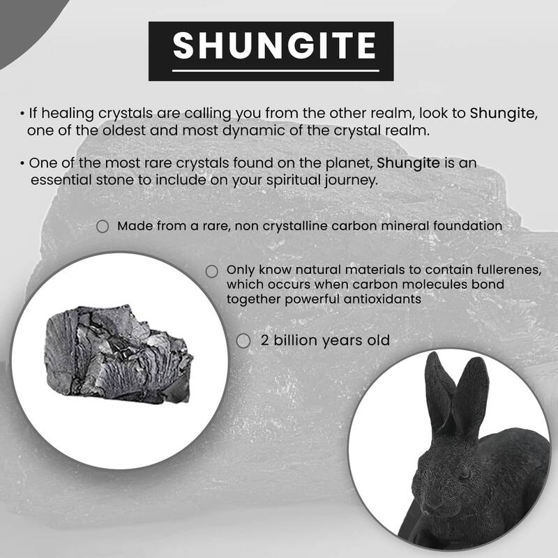 Karelian Shungite Figurine Elegant Home Indoor Decorative Mothers Day