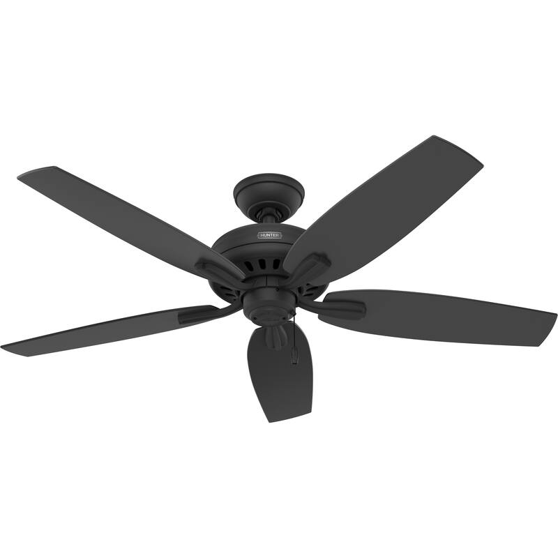 Hunter 52" Newsome Ceiling Fan with Pull Chain - Traditional - Casual