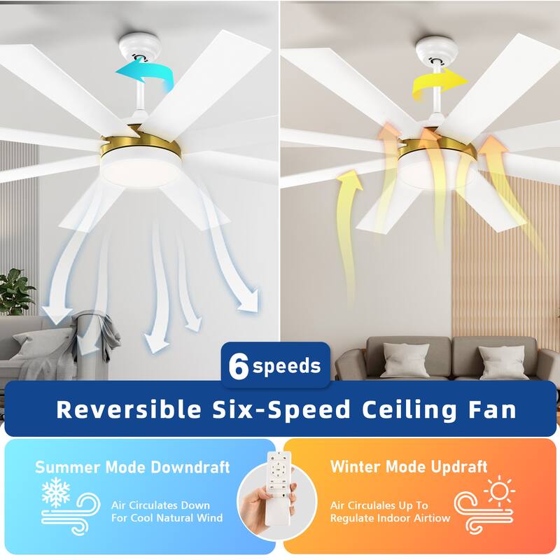 Moasis 60-inch 8 Blades Ceiling Fan with Light and Remote Control