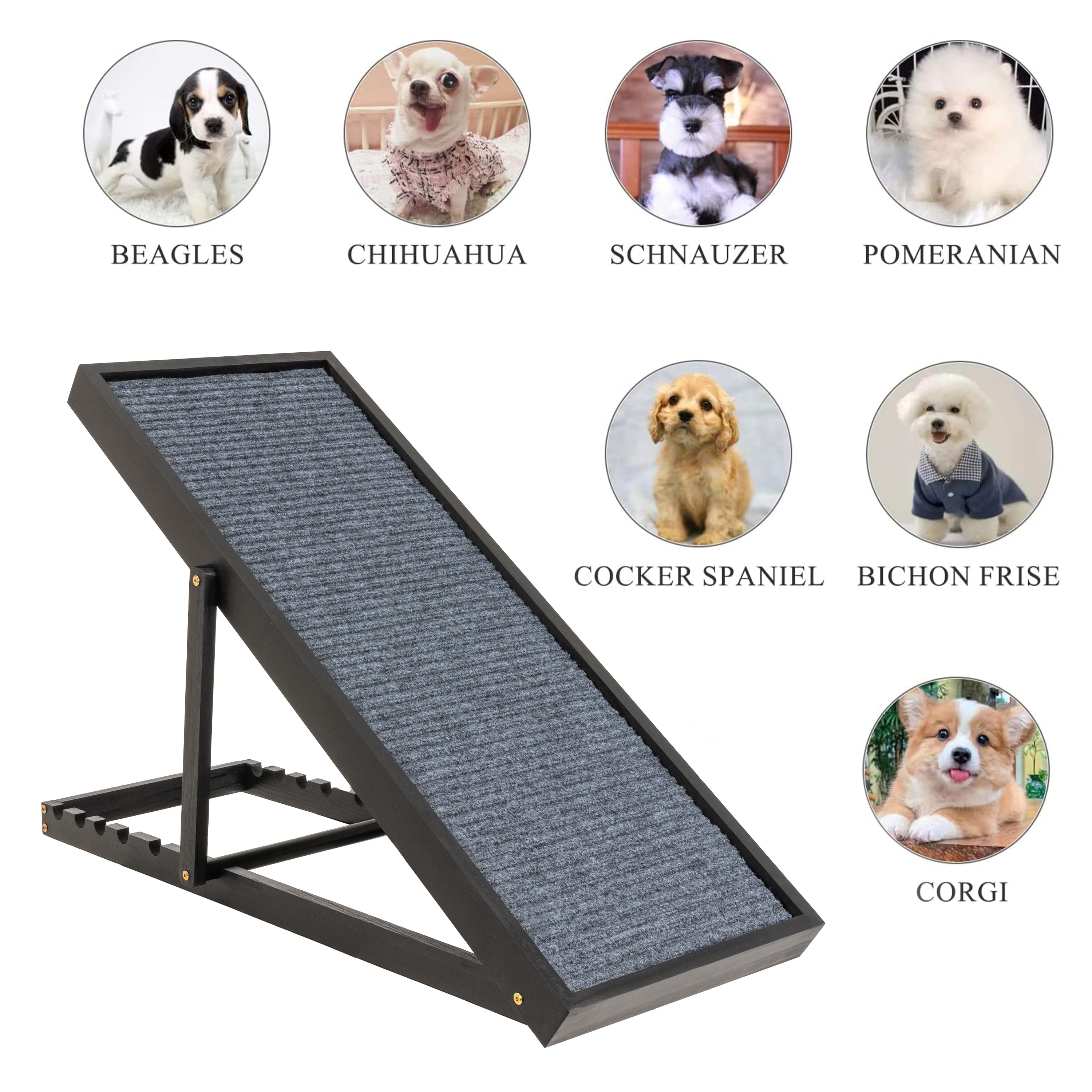 Chihuahua ramp top