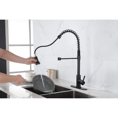 Black Kitchen Faucet with Pull Out Sprayer