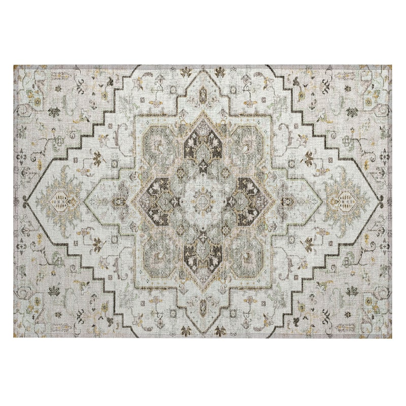 Machine Washable Indoor/ Outdoor Persian Traditional Chantille Rug