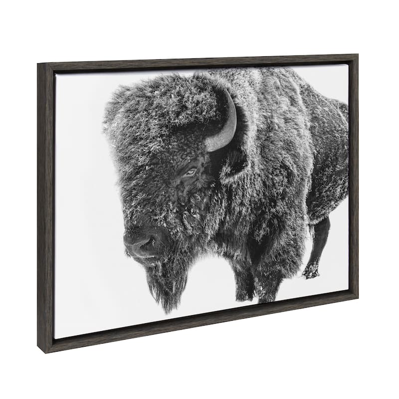 Kate and Laurel Sylvie Bison in Snow Black and White Framed Canvas by Amy Peterson Art Studio - 18x24 - Grey