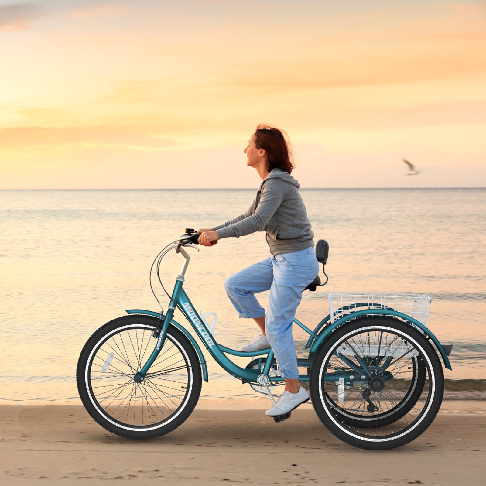 Docred tricycle sales