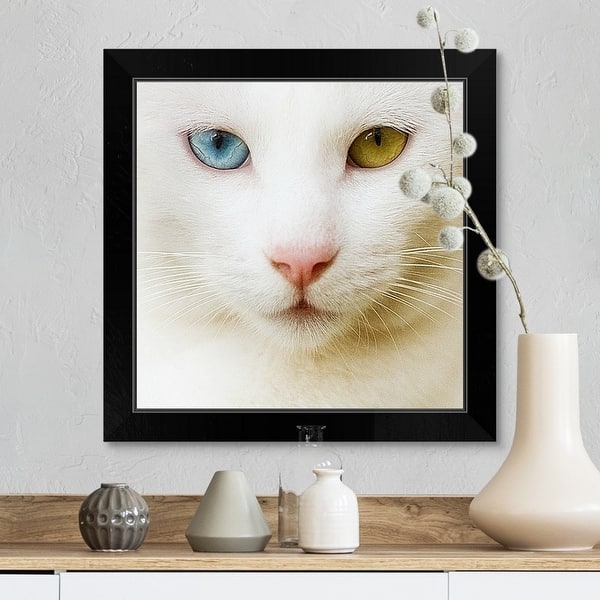Shop White Cat With Yellow And Blue Eyes Black Framed Print