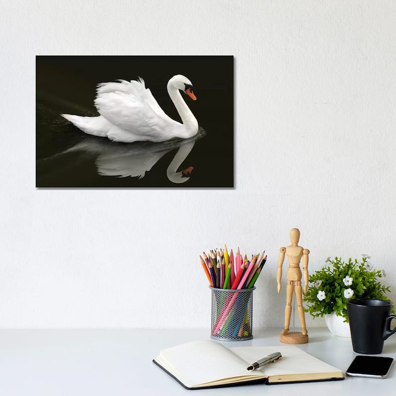 iCanvas "Swan" by Ben Heine Canvas Print - 8x12x0.75