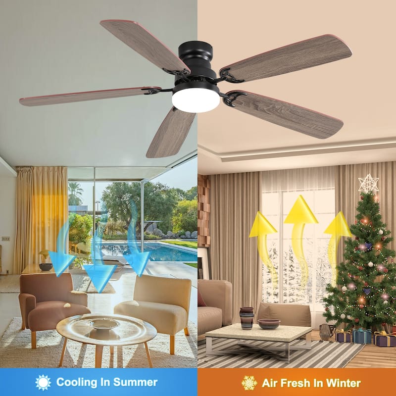 52 Inch Indoor Ceiling Fan with LED Light, 6-Speed Quiet DC Motor, 5 Blades, Dual-Color Design, Remote Control