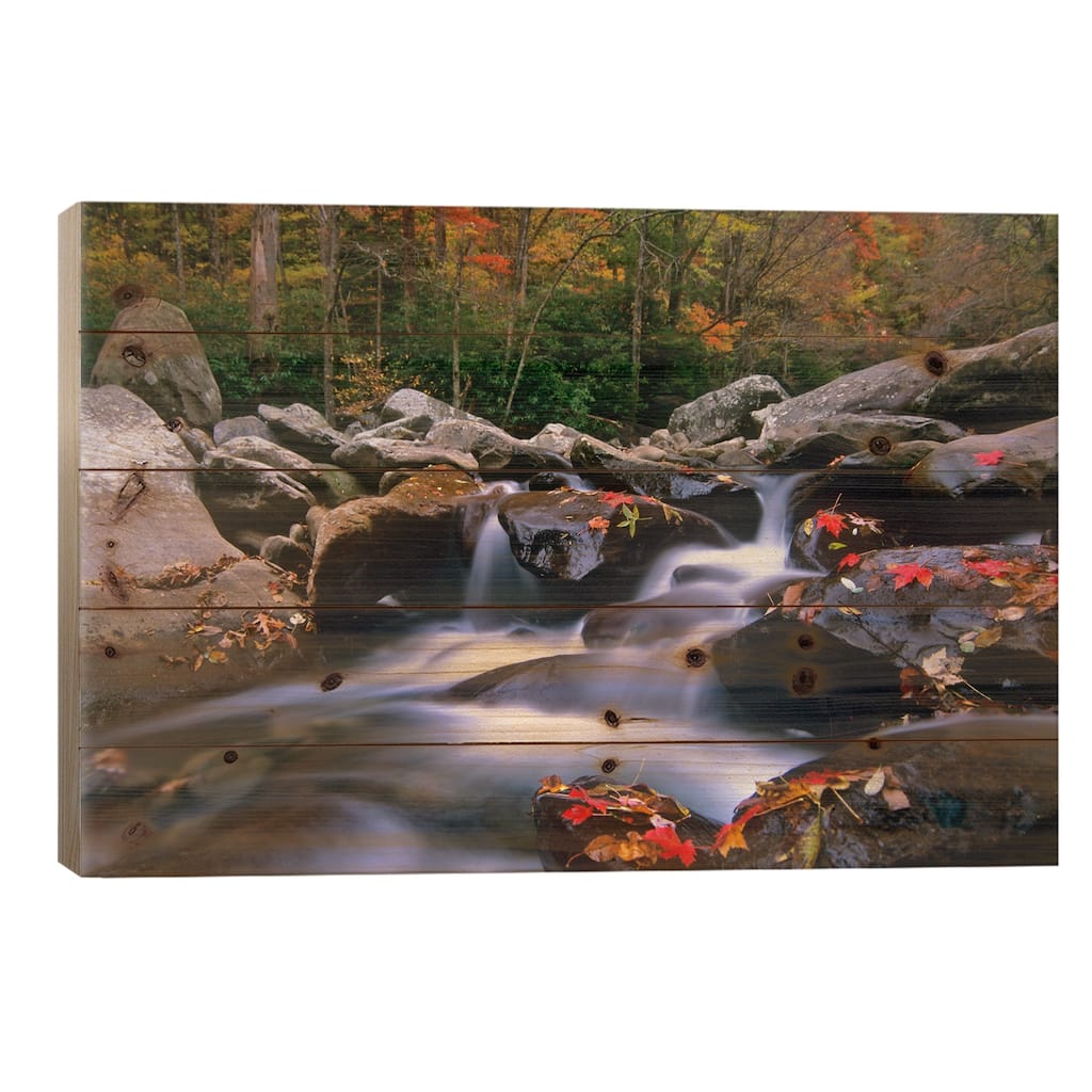 Little Pigeon River, Cascading Among Rocks And Colorful Fall Maple Leaves, Tennessee I Print On Wood by Tim Fitzharris