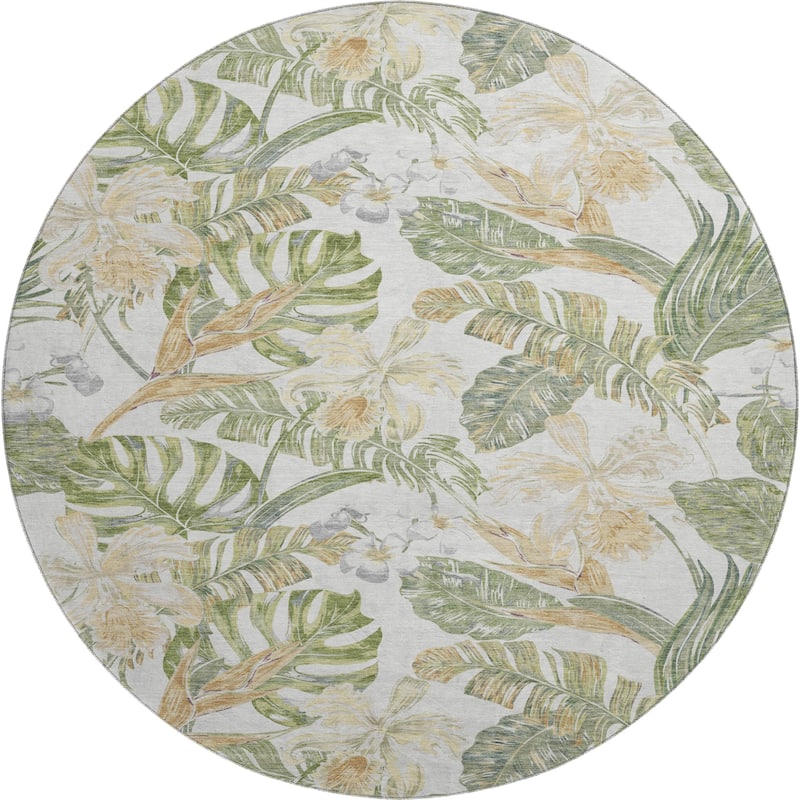 Premium Washable Super Soft Tropical Paradise Mayfield Rug