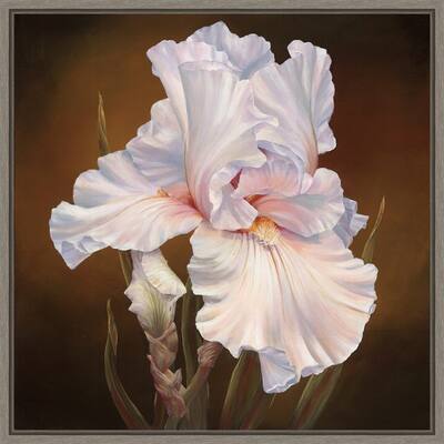 White Iris II by Marianne Broome Framed Canvas Art