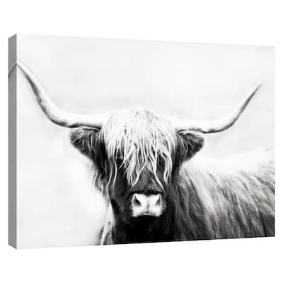 Highland Longhorn by Danita Delimont Canvas Art Print
