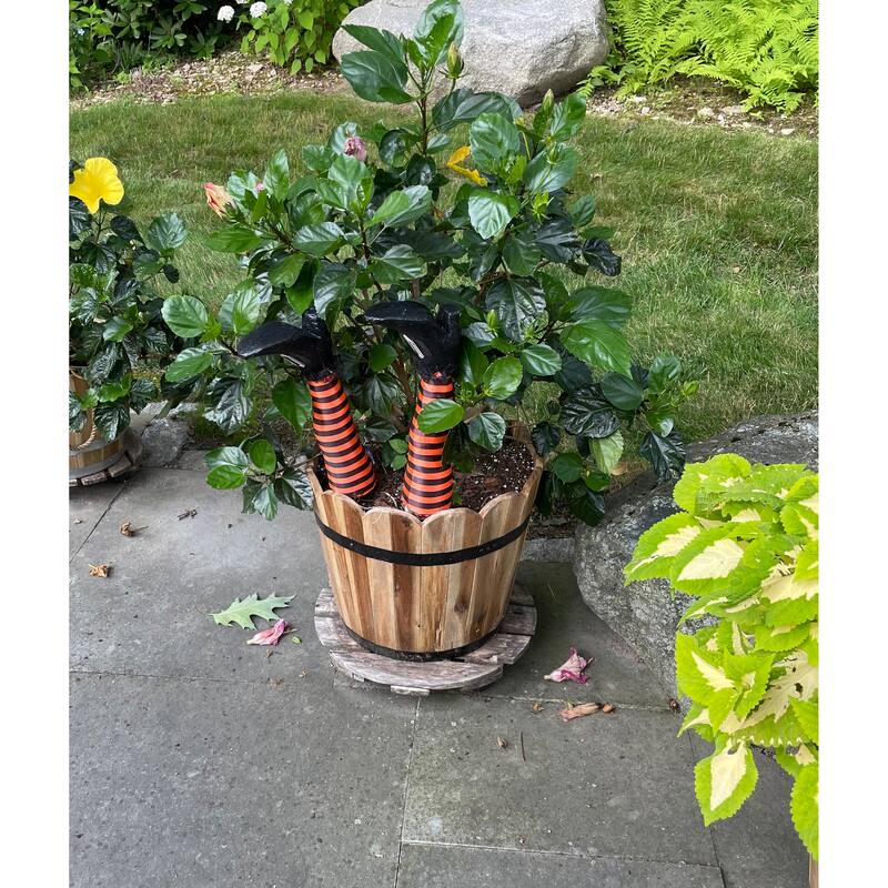 18" Pair of Witch Leg Stakes - N/A