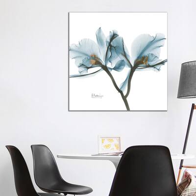 iCanvas "Blue Orchid" by Albert Koetsier Canvas Print