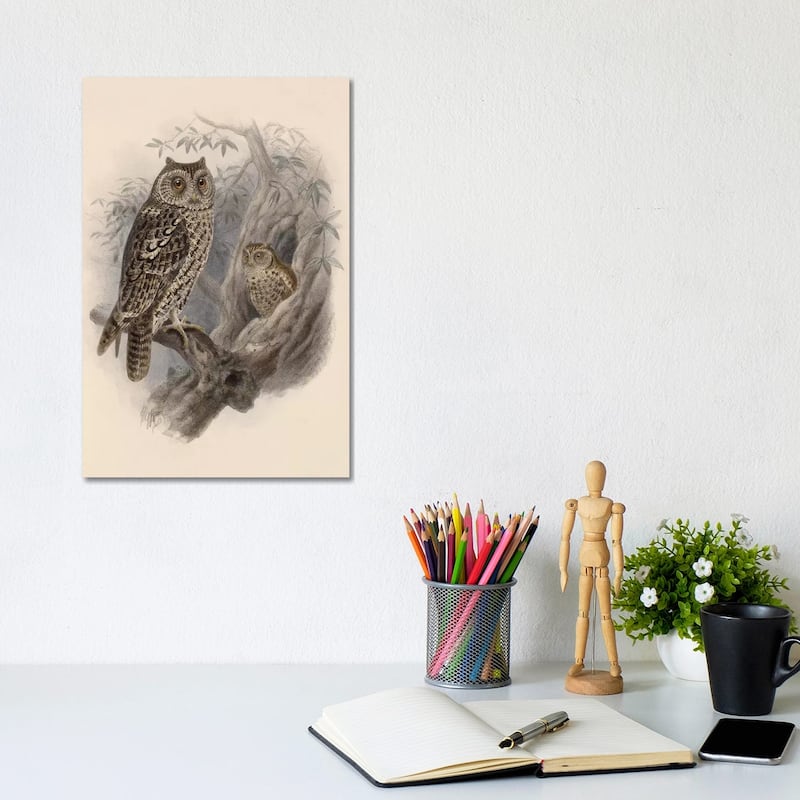 iCanvas "Tree Owls, 1902" by Vintage Apple Collection Canvas Print - 12x8x0.75