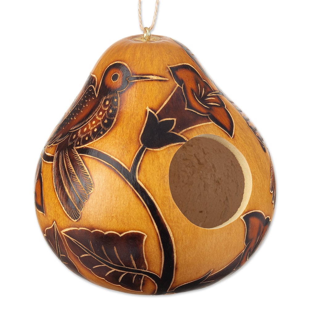 Novica Handmade Flight Of The Hummingbird Dried Gourd Birdhouse